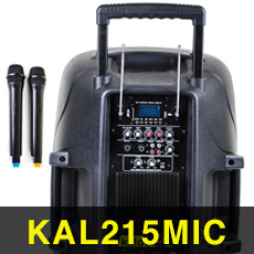 ACTIVE 2-WAY SPEAKER CABINET WITH 2 WIRELESS 
MICROPHONES